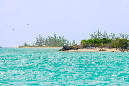 Rocky beach with casuarina trees at Fort George Cay