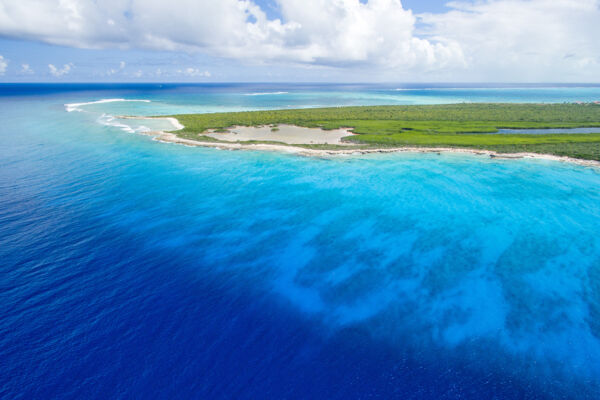 The barrier reef at wall at Northwest Point, Providenciales