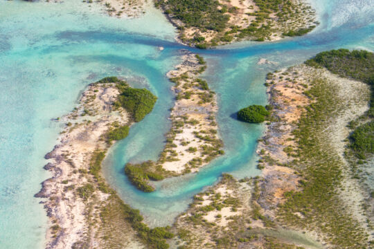 Aerial view of mangrove channel