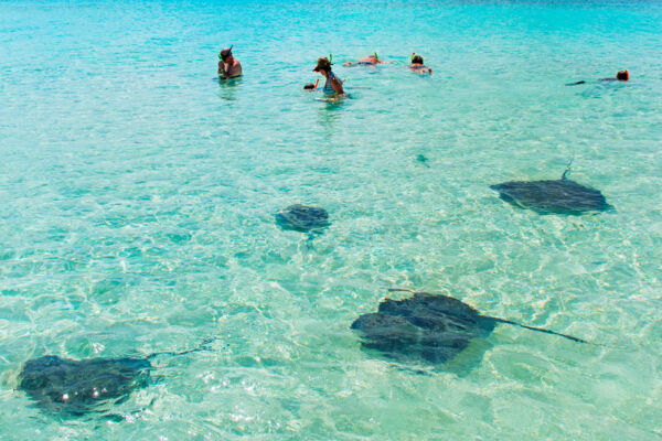 Snorkeling with stingrays at Gibbs Cay near Grand Turk