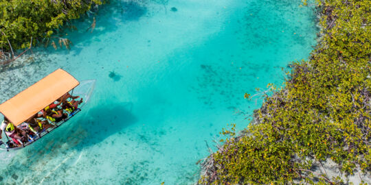 Aerial view of a clear boat