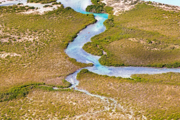Aerial view of Mangrove Cay