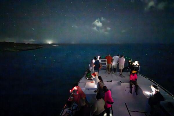 Glowworm tour in the Turks and Caicos