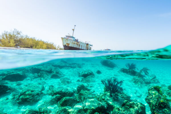 Snorkeling at the sea fans and coral of Governor's Beach