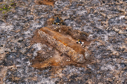 Illegal charcoal burning in the Turks and Caicos Islands.