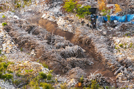 Trees stacked in a charcoal kiln on Providenciales.