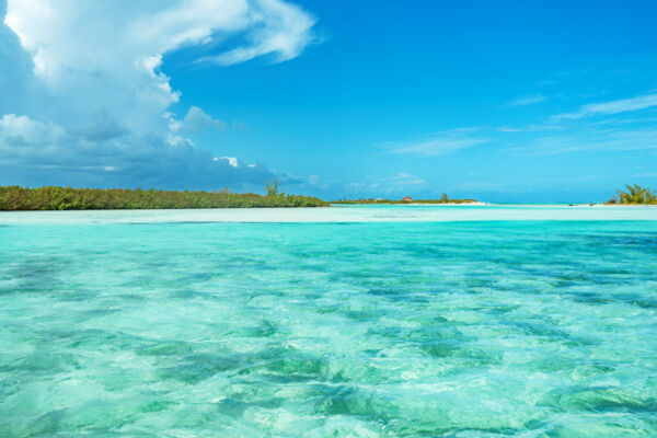 Intertidal creek near Bay Cay in the Turks and Caicos