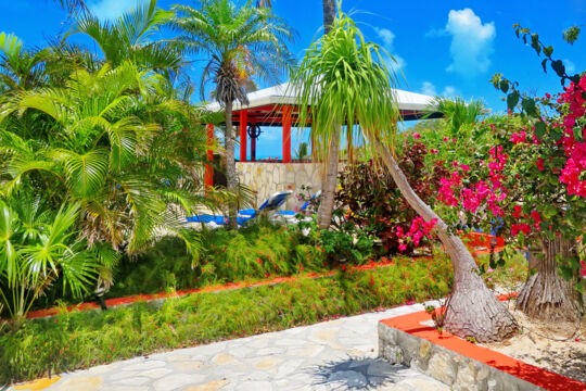 Landscaping at Harbour Club villas