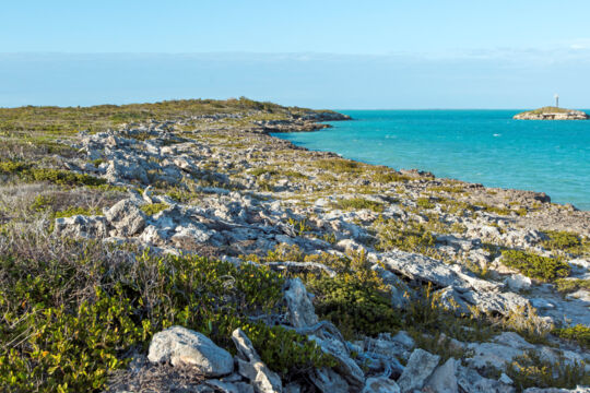 Rocky coastline along the Bird Rock Trail
