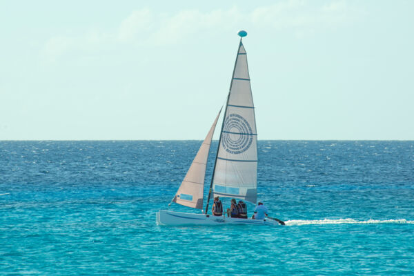 cat sailboat rental