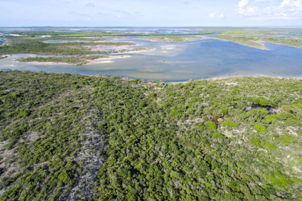 Aerial view of the wetlands and tidal tundra of East Caicos and Hog Cay