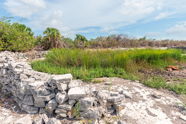 Livestock well on Hog Cay