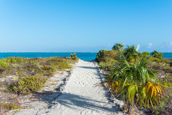 Footpath to Hollywood Beach in the Turks and Caicos