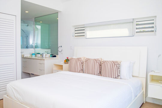 Bright bedroom with ensuite bathroom