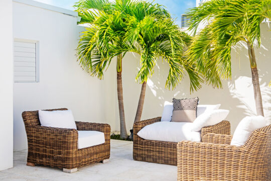 Outdoor armchairs and palm trees
