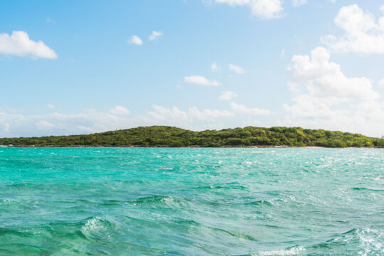 The vegetation of Iguana Cay and surrounding ocean