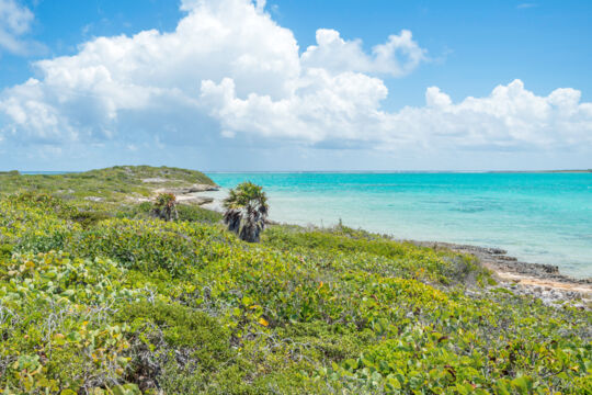 Coast on Iguana Cay in the Turks and Caicos