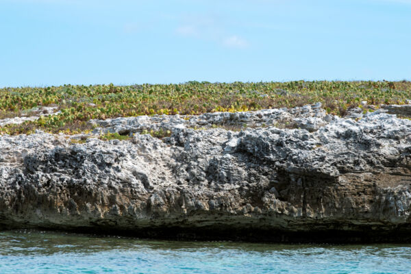 Indian Cay in the Turks and Caicos