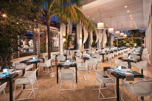 Elegant resort restaurant with palm trees and soft lighting