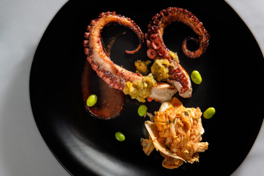 Octopus dish at a restaurant