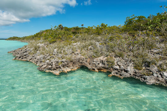 Rocky ironshore coastline and crystal-clear water at Isaac Cay