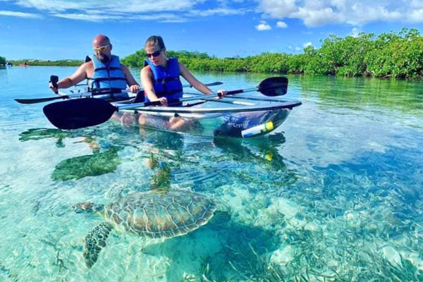 Clear kayak eco-tour in the Turks and Caicos
