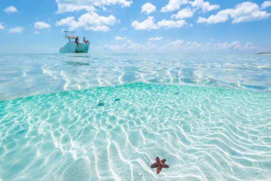 Over under photo of a boat in shallow clear water with starfish