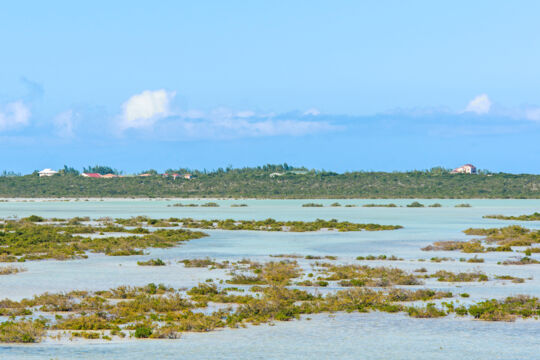 Juba Sound's shallow wetland and patchy vegetation