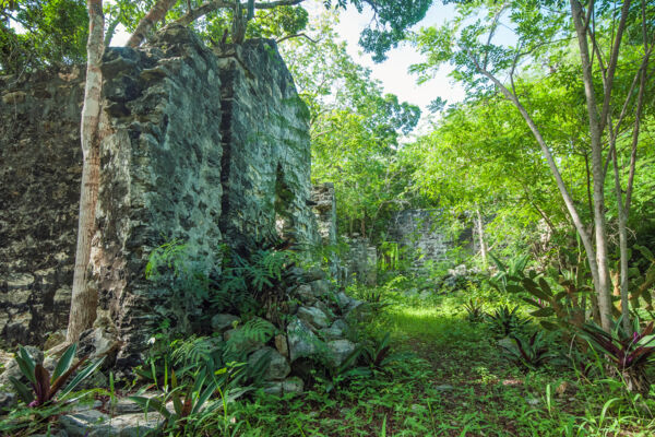 Wade's Green Plantation at Kew on North Caicos