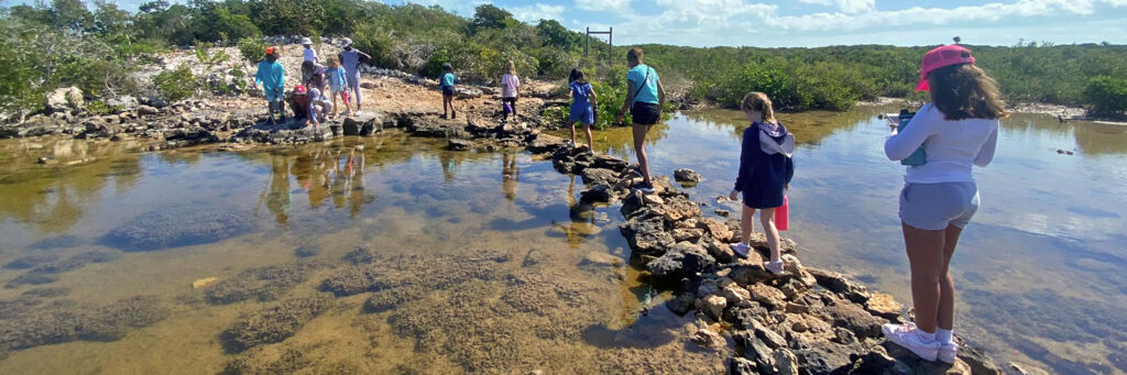 Kids hiking in the Turks and Caicos