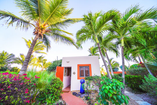 Quaint guesthouse surrounded by palm trees.
