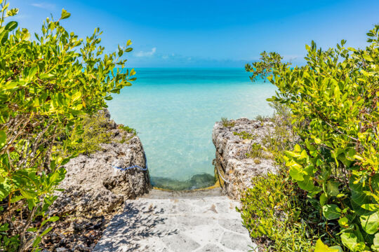 Crystal-clear turquoise water framed by plants.