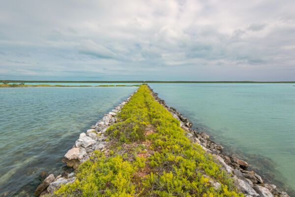 The old railroad causeway in Lake Catherine