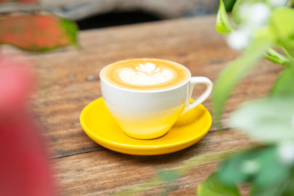 Cappuccino with a foam leaf pattern in a mug