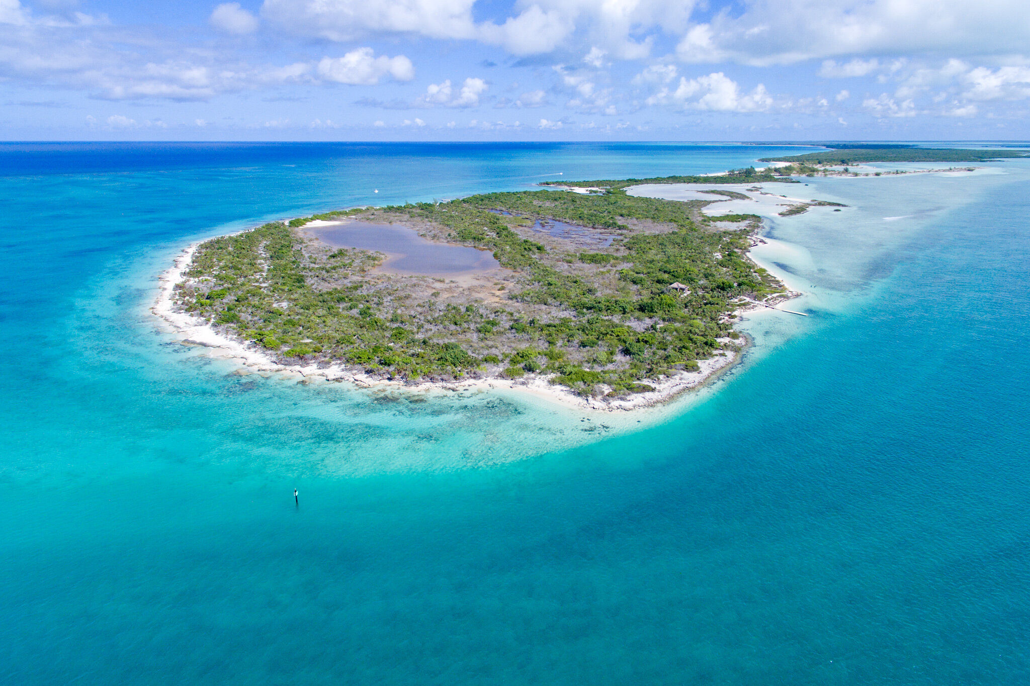 Guest visiting Iguana Island near Turks and Caicos