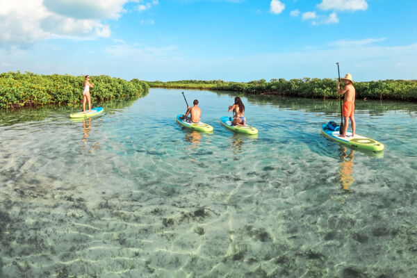 Paddleboarding eco-tour in a red mangrove channel in the Turks and Caicos