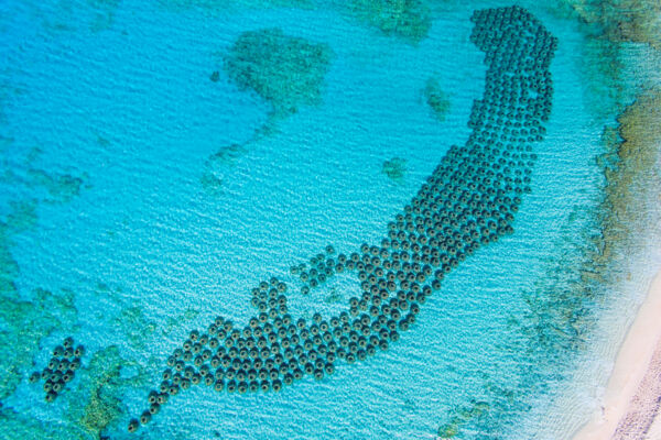 Hundreds of anti-erosion concrete reef balls in the turquoise water at Malcolm's Road Beach 