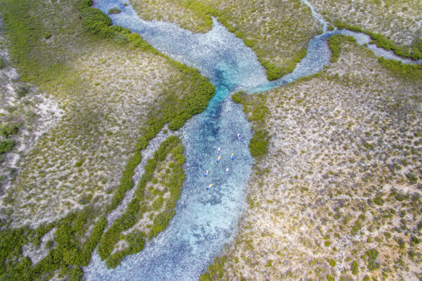 Mangrove Cay, Turks and Caicos