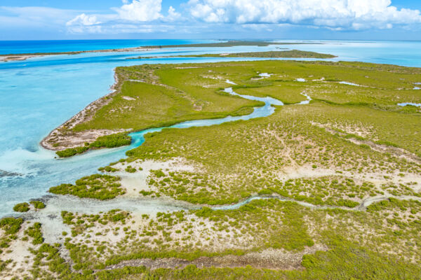 Aerial view of Mangrove Cay in the Turks and Caicos.