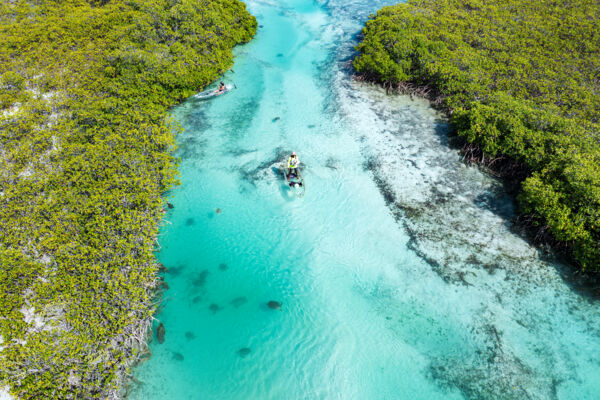 Aerial view of two kayaks at Mangrove Cay.