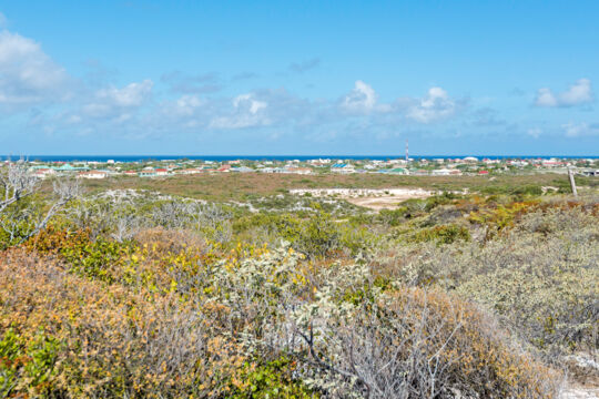 View of Cockburn Town and the ocean from a hill with dry vegetation