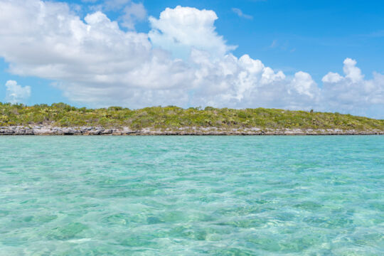 Low rocky island with trees and crystal-clear water offshore