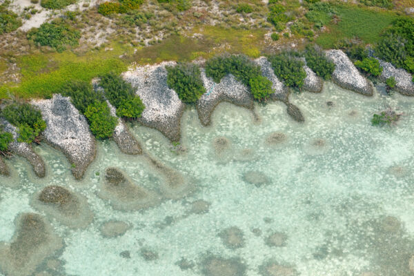 Aerial view of conch shell piles on Middleton Cay