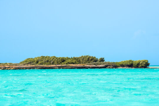 The vegetation and turquoise water at Middleton Cay