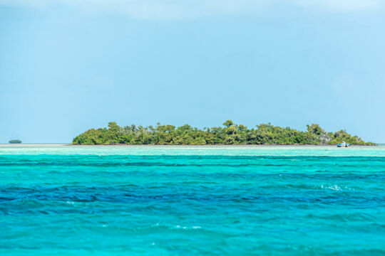 Boat exploring the turquoise ocean off Moxy Bush