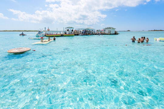 Noah's Ark floating bar