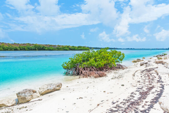 The beautiful turquoise channel and sandy beach at North Creek, Grand Turk