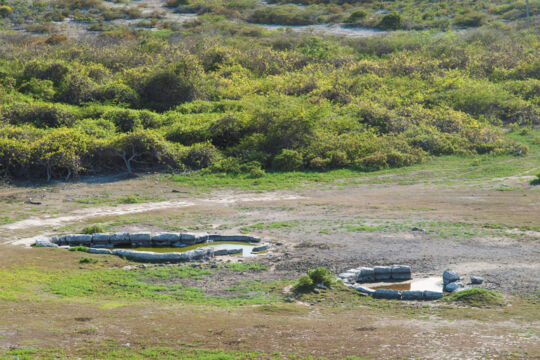 Shallow stone wells in a field on Grand Turk
