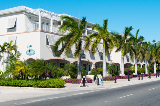 Exterior of concrete plaza with large palm trees