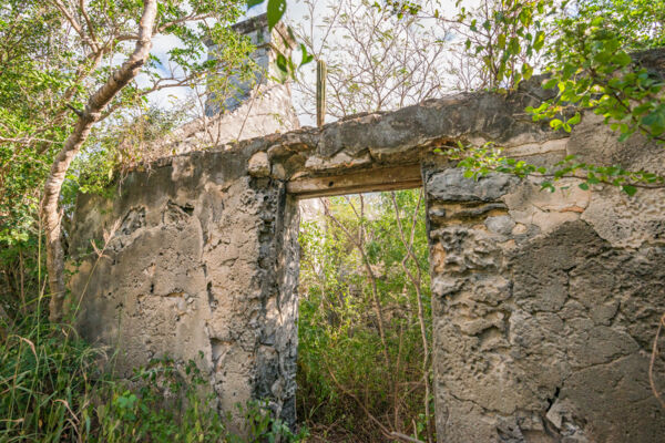 Doorway of a remote Loyalist ruin in the Turks and Caicos